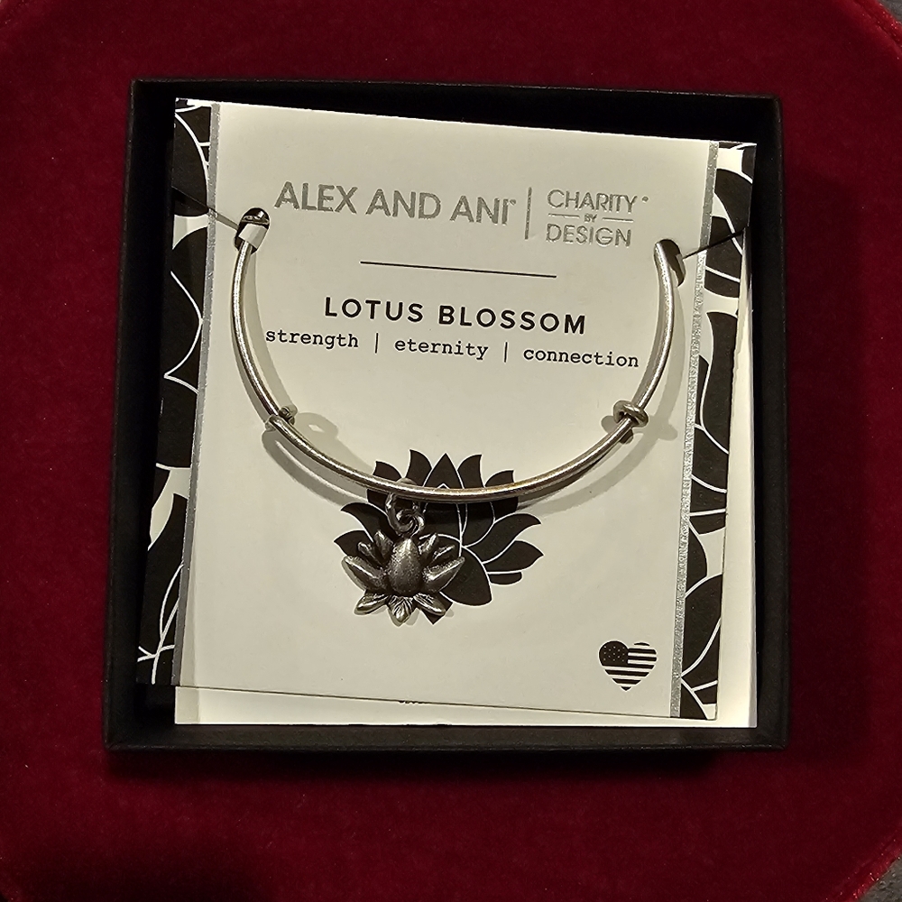 alex and Ani bracelet